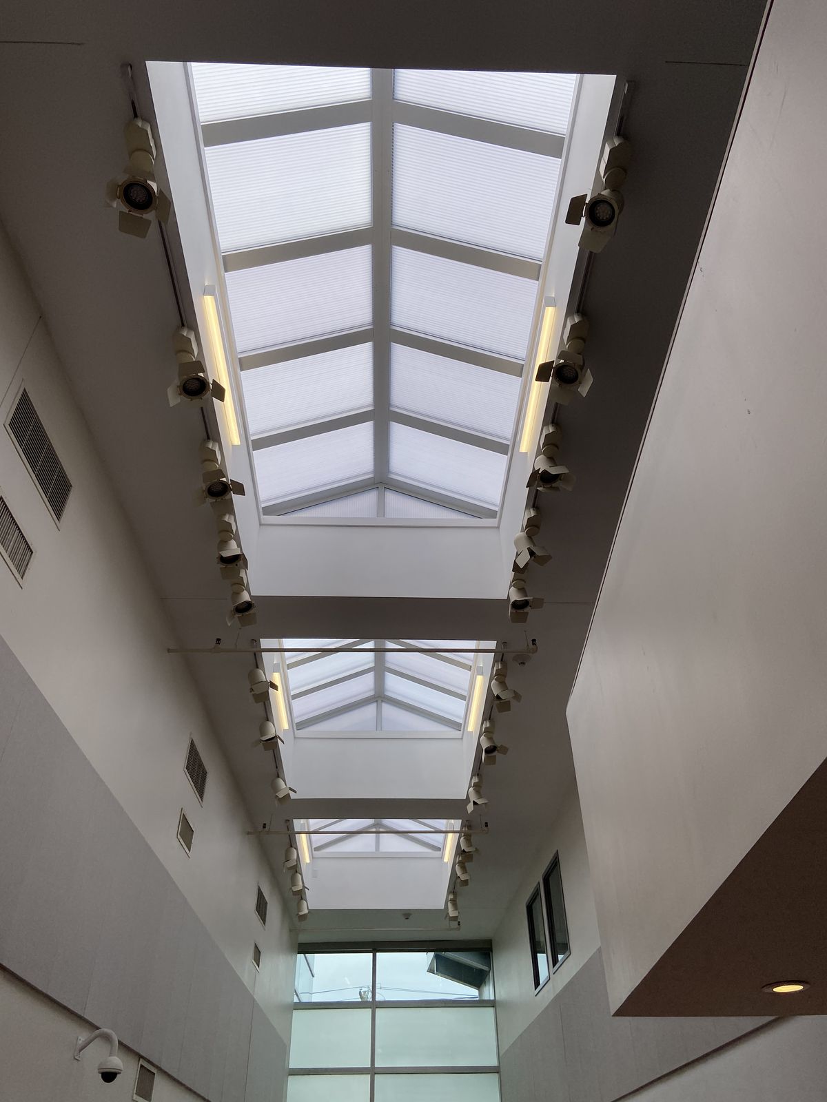 Gallery ridge skylights with cellular shades